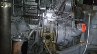 K800_DSC_0267.JPG