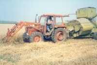 taurus60b02.jpg